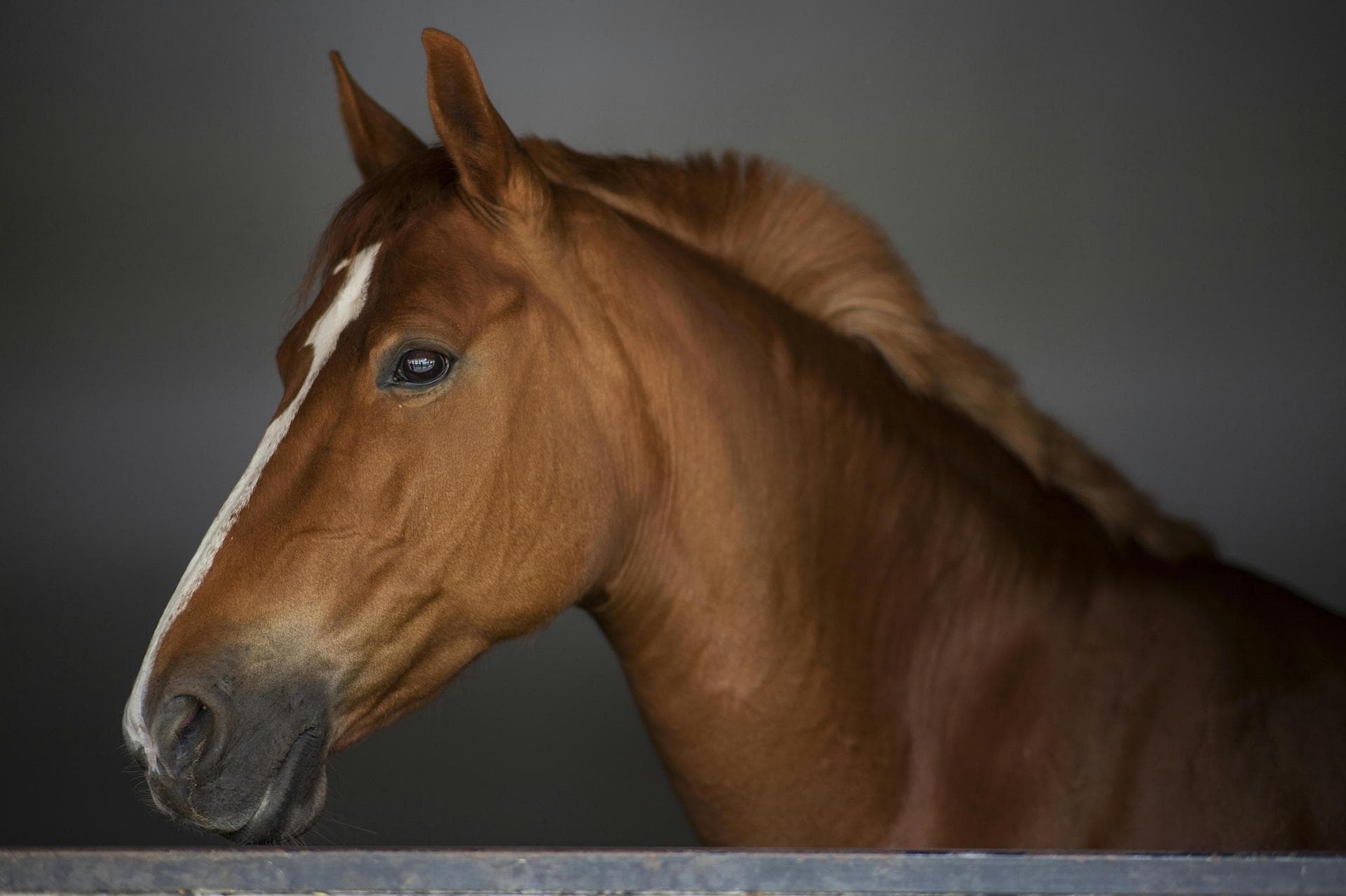 Annual Vaccination Booster Prices in Sutton