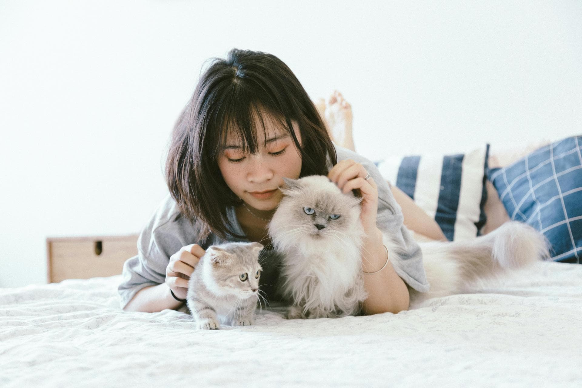 Out-of-Hours Vet Prices in Sutton